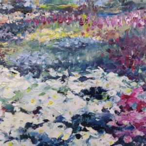 Tulips in Bloom Botanic Gardens