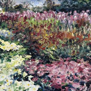 Tulips, Botanic Gardens