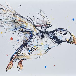 Painting of a puffin in flight on a white background