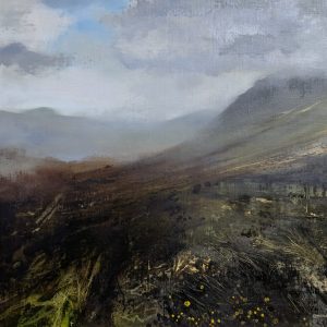 Painting of the Mournes with grasses and ferns
